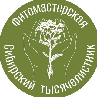 Фитомастерская "Сибирский тысячелистник"