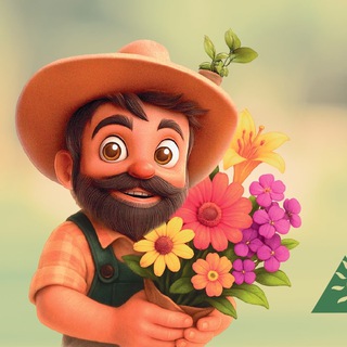 СЕМЕНА ДЛЯ СИБИРИ | Красноярск