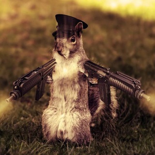 Канал бурундуков