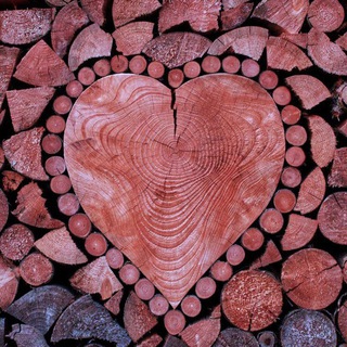 Спилы и изделия из дерева