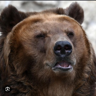 Будни тяжа Силаева 🤙