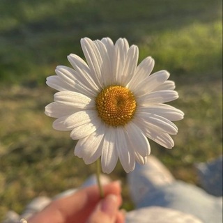 Тишина ночного города🖤