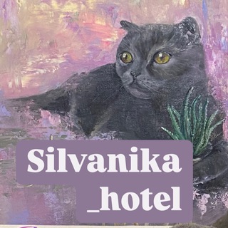 silvanika_hotel | временный дом для котиков | Москва