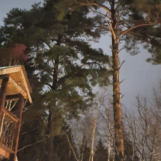 Зоогостиница " Симаргл".