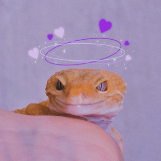 🦎Дневник эублефара🦎