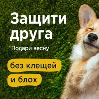 Симпарика ~инфо~