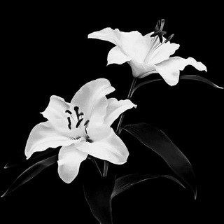 𝙋𝙍𝙊𝙅𝙀𝘾𝙏 𝙋&𝙍