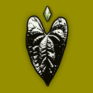 Sim’s plants | Store