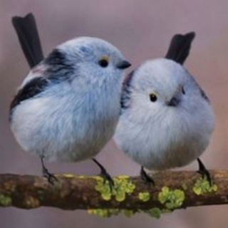 Рина Синичкина