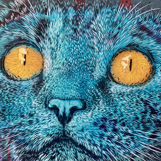 Записки Синего Кота