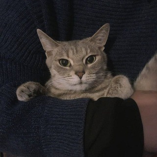 The Life and Suffering of Sir Perv