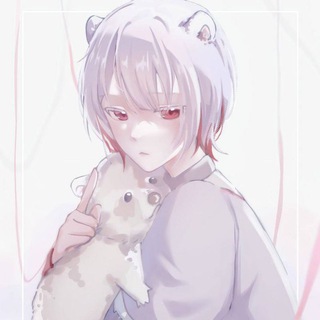 фан клуб бравлстарсеров