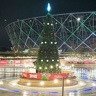 Skating to the stars| Lina