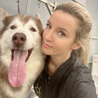 Skayagroomer Грумер м. Прокшино,Испанские кварталы