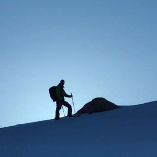 Wildskins: скитур по всему миру.