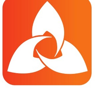 Горные лыжи дешево skibigsale