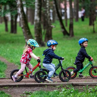 Дневник Детского Тренера