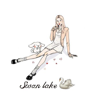 swan lake🦢ྀི 🤍