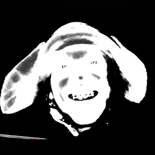 ЛОГОВО ЖУКА