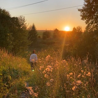 сколько дней до лета
