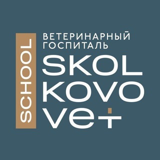 Skolkovo Vet School 🎓