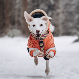 Лунная корзинка 🧺