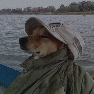 скип здесь.