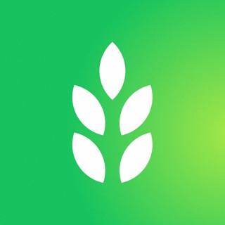 СКС говорит!