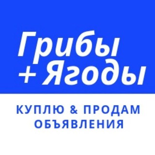 Грибы + Ягоды | Купить, Продать, Оптом - Официальный канал. Скупка грибов и ягод.