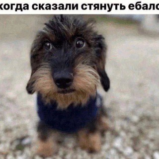 𝐬𝐤𝐰𝐞𝐢|𝐎𝐅𝐅𝐈𝐂𝐈𝐀𝐋