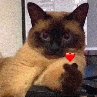 Переводы Stray Kids 🔞