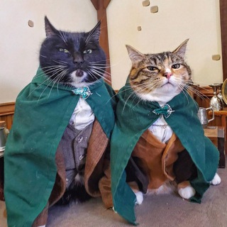 Славянка вещает