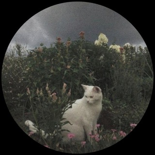 Demon slayer | Клинок рассекающий демонов