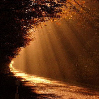 Следовать Истине