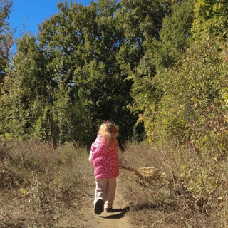 Следуй за Васильком🌸