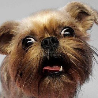 Слез с хмурого