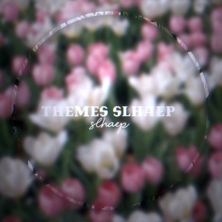 темы/обои slh