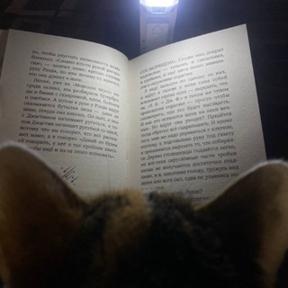 𝒄𝒉𝒕𝒊𝒗𝒐 𝒕𝒂𝒑𝒐𝒄𝒉𝒌𝒂