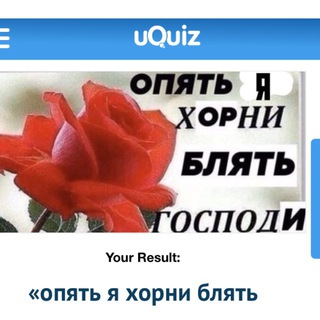 ꒰🌈 ꒱ щп канал радужных :: @slivey5