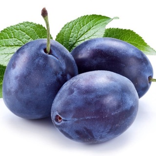 Сливы с теста