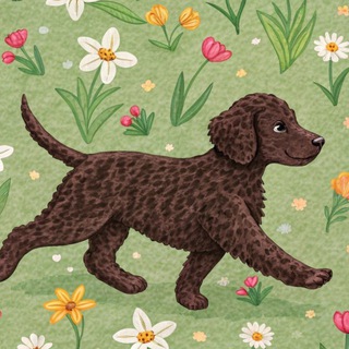 Клуб Счастливых Собак