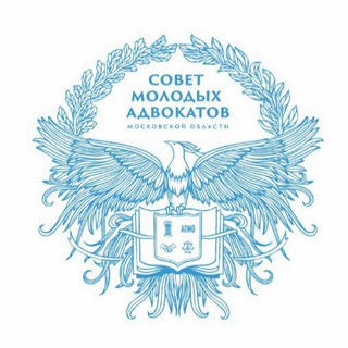 Молодежная адвокатура Подмосковья