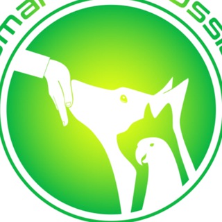 Центр зоопсихологии и зоо отель СмартдогРаша/SmartDogRussia