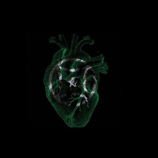 нᴀᴨᴏʍинᴀниᴇ.