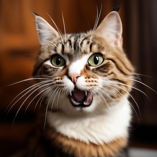 СМЕШНЫЕ ЖИВОТНЫЕ