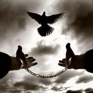 смешное фото