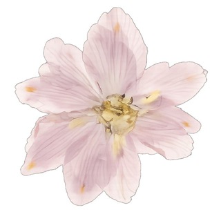 про блогинг и смм