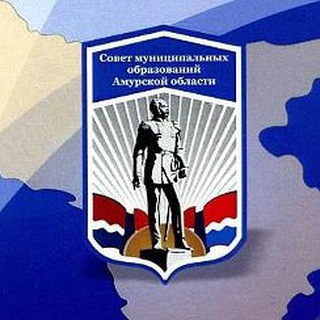 СМО Амурской области