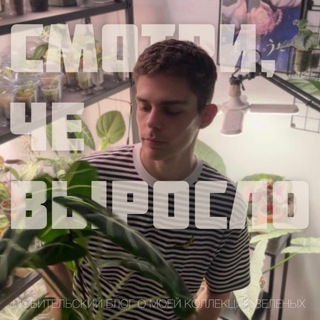 СМОТРИ, ЧЕ ВЫРОСЛО 🌱