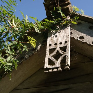 Посмотри на лес